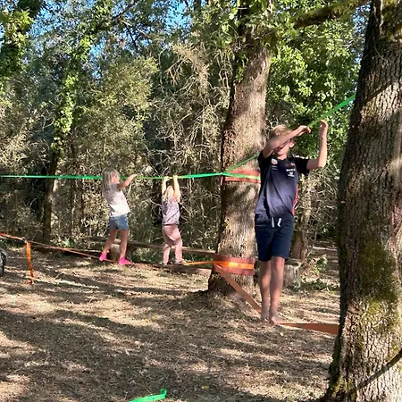 Kamp alanı Safarilodge Standard 4 Pers